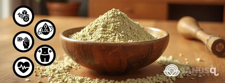 5 Bienfaits puissants de Gurmar pour la santé à connaître