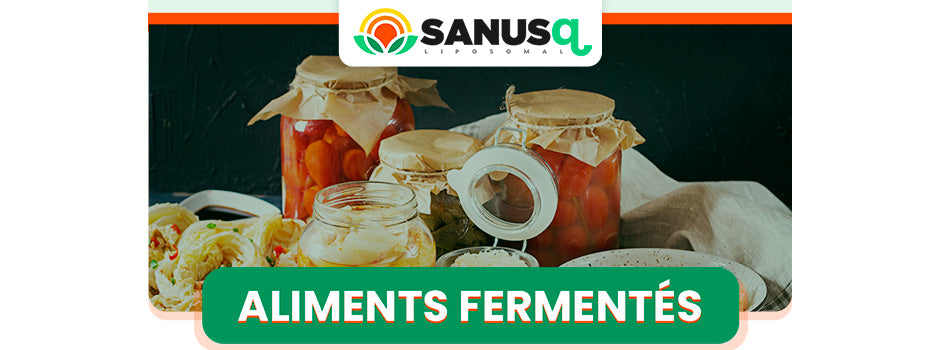 Aliments fermentés et probiotiques pour l'intestin