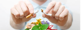 Mains cassant une cigarette au-dessus de plantes, gingembre et fleurs pour arrêter de fumer naturellement avec SANUSq Health