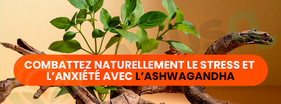 Ashwagandha contre le stress et l'anxiété