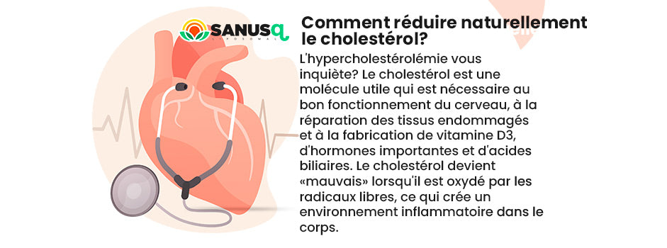 Réduire son cholestérol naturellement