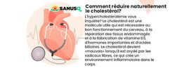 Réduire son cholestérol naturellement