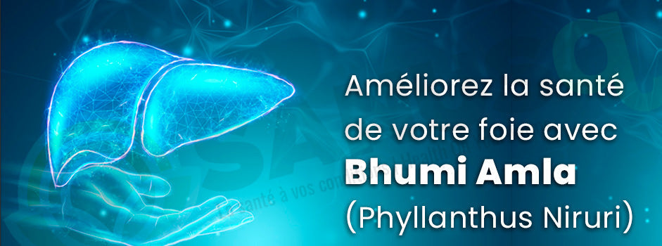 Bhumi amla, plante ayurvédique pour soutenir la santé du foie