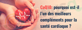 La coenzyme Q10 et ses bienfaits pour le cœur