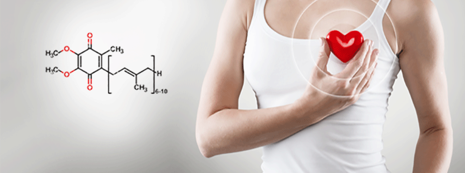 coq10-coenzyme-q10-energie-cellulaire-coeur