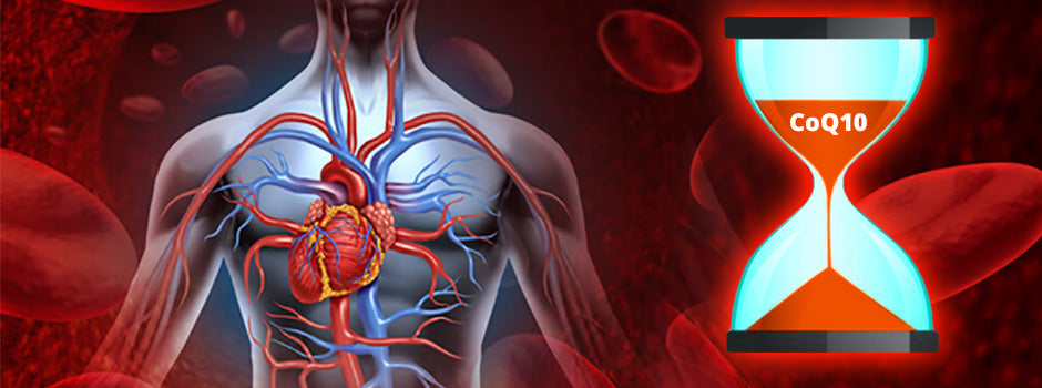 Cœur et vaisseaux sanguins à côté d'un sablier de CoQ10 qui s'écoule : statines et douleurs musculaires, SANUSq Health
