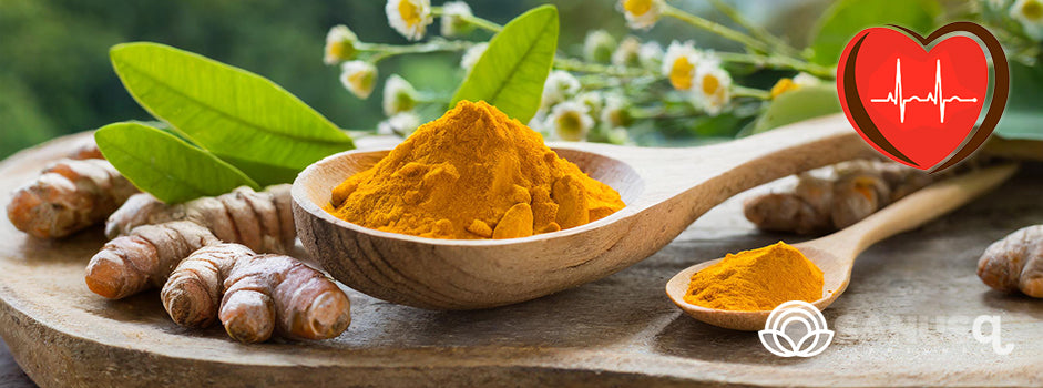 Curcuma et coeur en bonne santé