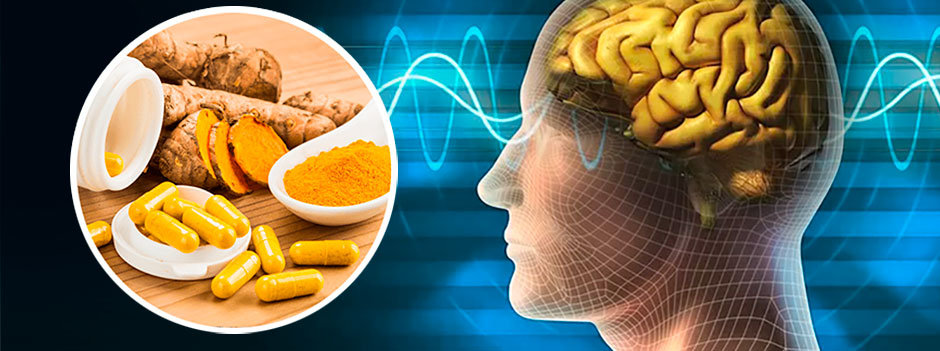 Racine et gélules de curcumine près d'une illustration du cerveau, évoquant la santé cognitive — SANUSq Health
