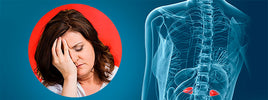 Femme fatiguée près d'une illustration anatomique des glandes surrénales — SANUSq Health