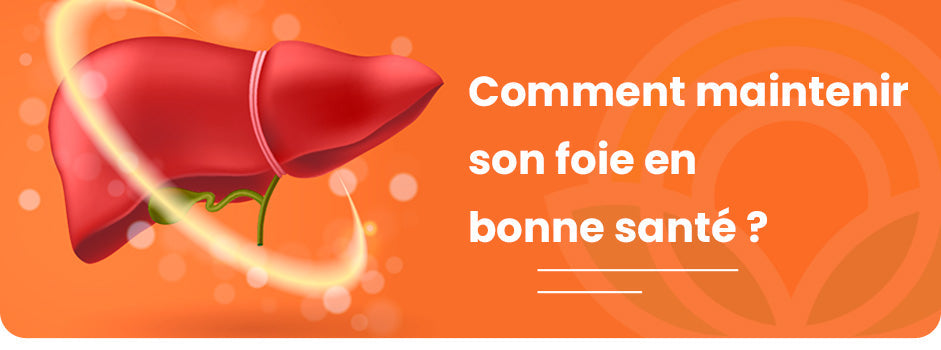 Garder un foie sain : conseils et détox