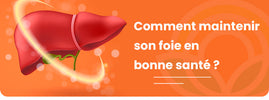 Garder un foie sain : conseils et détox