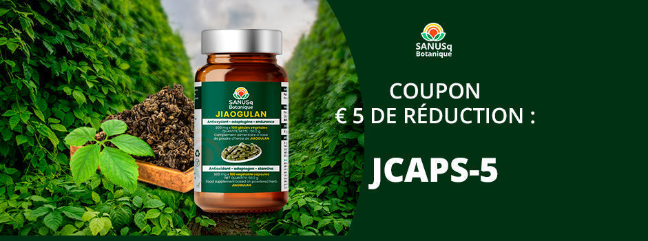 Gélules SANUSq Jiaogulan : complément antioxydant, adaptogène et endurance, avec coupon de 5 € de réduction