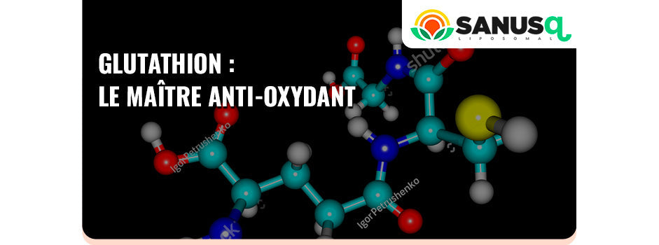 Glutathion et magnésium : un duo antioxydant
