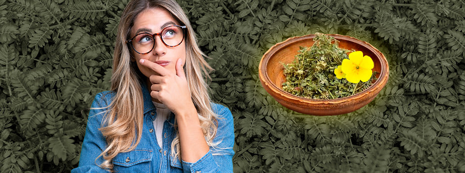 Femme songeuse près d'un bol de Gokshura (Tribulus) à la fleur jaune — SANUSq Health