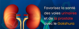 Gokshura : santé urinaire et prostate
