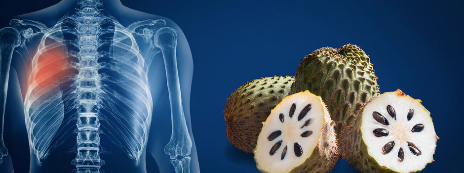 Fruits de corossol ouverts à côté d'une radiographie du thorax avec une zone mise en évidence – SANUSq Health