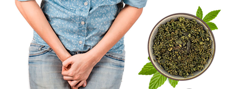 Femme les mains jointes devant le bas-ventre à côté d'un bol de plantes séchées, guide SANUSq Health sur les infections urinaires