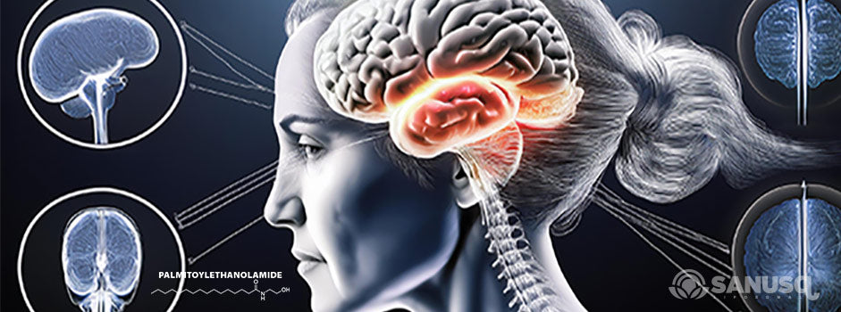 Exploration du potentiel thérapeutique du palmitoyléthanolamide (PEA) dans les troubles neurodégénératifs