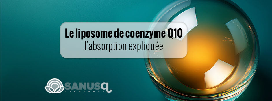 Sphère liposome dorée translucide sur fond turquoise illustrant l'absorption de la coenzyme Q10