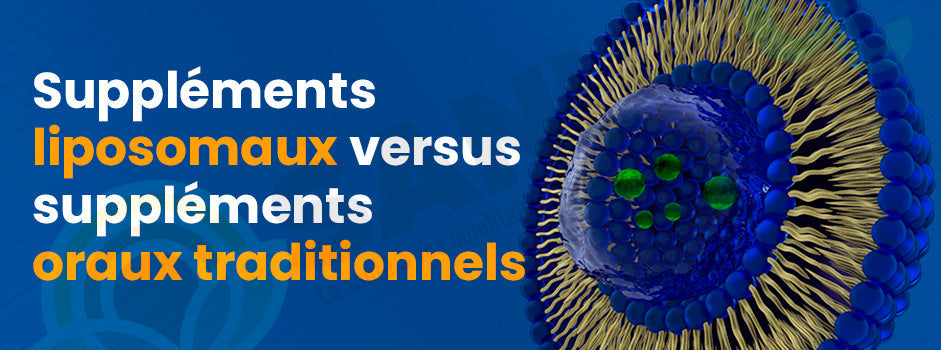 Compléments liposomaux : qu'est-ce qu'un liposome