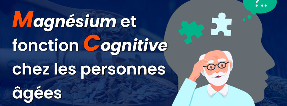 Magnésium et fonctions cognitives chez les seniors