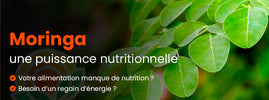 Moringa : nutrition et bienfaits de la feuille