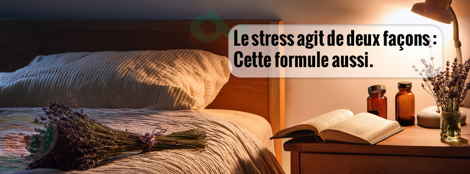 Scène apaisante de chevet avec lavande et flacons illustrant une formule à double action contre le stress