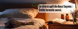 Scène apaisante de chevet avec lavande et flacons illustrant une formule à double action contre le stress