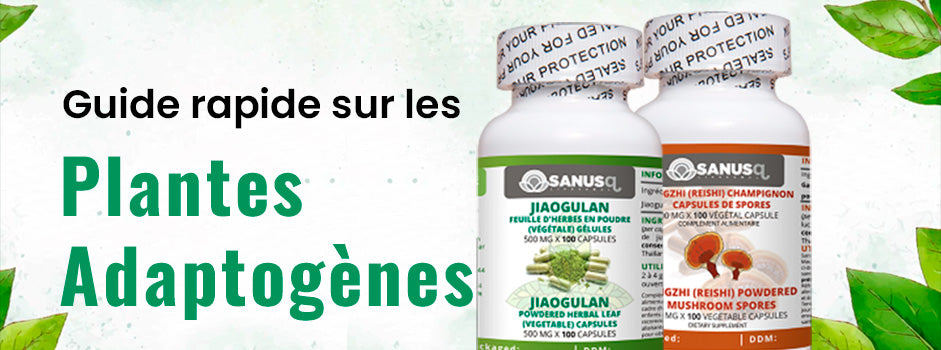 Plantes adaptogènes contre le stress