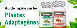 Plantes adaptogènes contre le stress