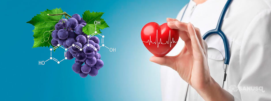 Raisins et structure du resvératrol près d'un cœur tenu par une professionnelle de santé — SANUSq Health