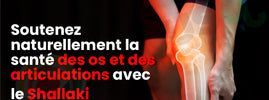 Boswellia serrata (shallaki) pour la santé des articulations