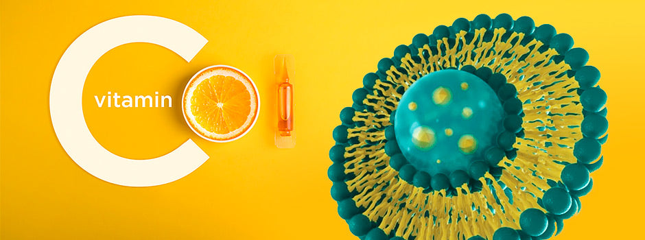 Grande lettre C avec une tranche d'orange, une ampoule et la structure d'un liposome : la vitamine C liposomale SANUSq Health