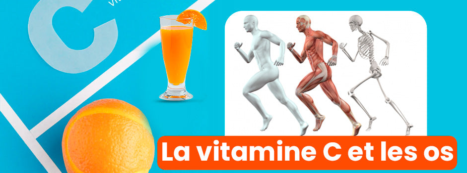 Vitamine C et santé des os