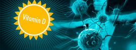 Soleil symbolisant la vitamine D près de cellules immunitaires, évoquant les défenses — SANUSq Health