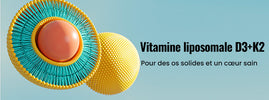 Pourquoi votre vitamine D ne fonctionne peut-être pas
