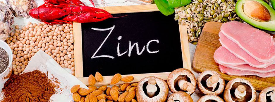 Aliments riches en zinc : fruits de mer, viande, oléagineux, légumineuses et champignons — SANUSq Health