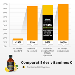 Biodisponibilité de la vitamine C liposomale et du glutathion