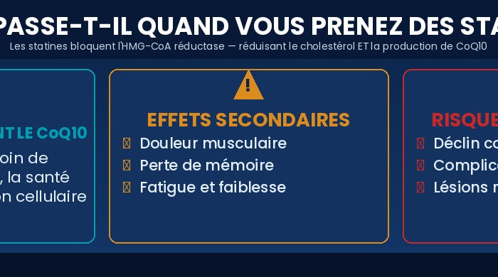 Les statines réduisent le CoQ10 : effets secondaires, risques à long terme et importance de la supplémentation