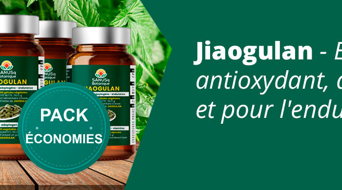 SANUSq Botanique gélules Jiaogulan pack économies – ensemble antioxydant, adaptogène et endurance 