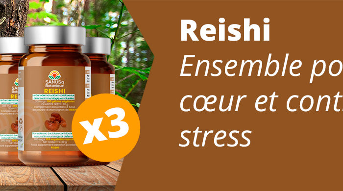 Pack de 3 Reishi SANUSq Botanique – gélules de Ganoderma lucidum pour le cœur et contre le stress