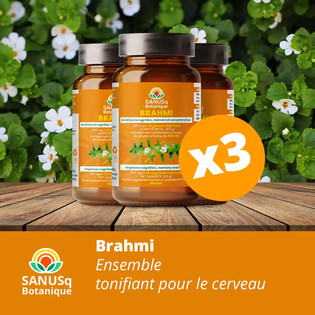Ensemble  tonifiant pour le cerveau | SANUSq Health
