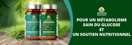 Lot de capsules végétales Gurmar et Moringa