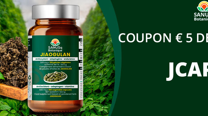 Complément SANUSq Botanique Jiaogulan en gélules près de la plante fraîche et séchée — SANUSq Health