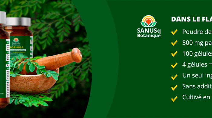 Gélules de feuilles de moringa SANUSq près d'un mortier de feuilles fraîches : 500 mg, 100 gélules