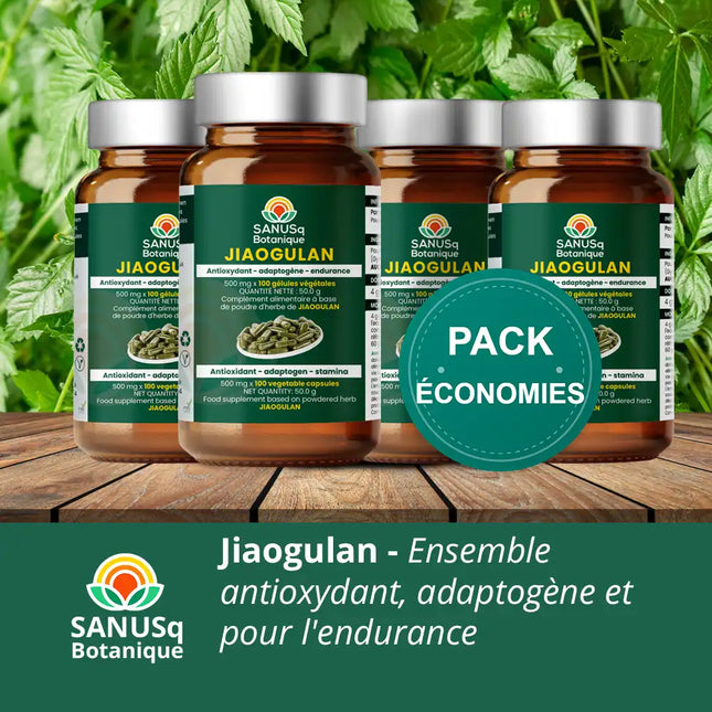 Pack économies Jiaogulan SANUSq Botanique – ensemble 4 flacons antioxydant adaptogène et endurance