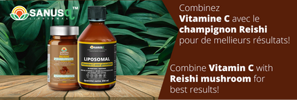 Pack vitamine C et reishi | SANUSq Health
